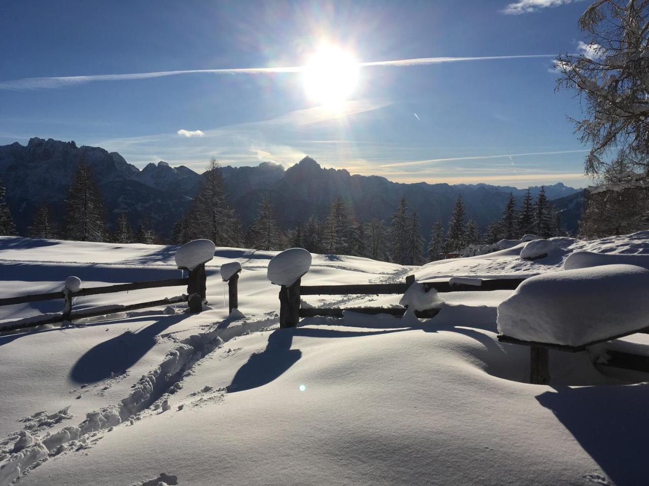 Pensjonat Fruehstueckspension Alpenrose